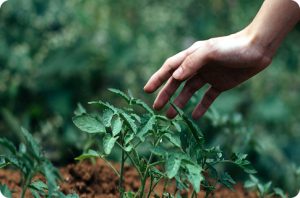 Lorem ipsum dolor sit amet 3