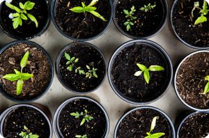 Lorem ipsum dolor sit amet 4