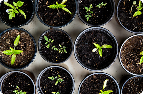 Lorem ipsum dolor sit amet 4